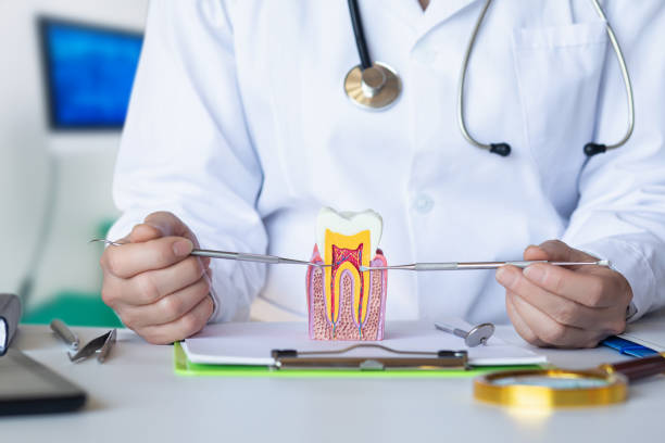 Best Emergency Dentist for Special Needs Patients in Vander, NC